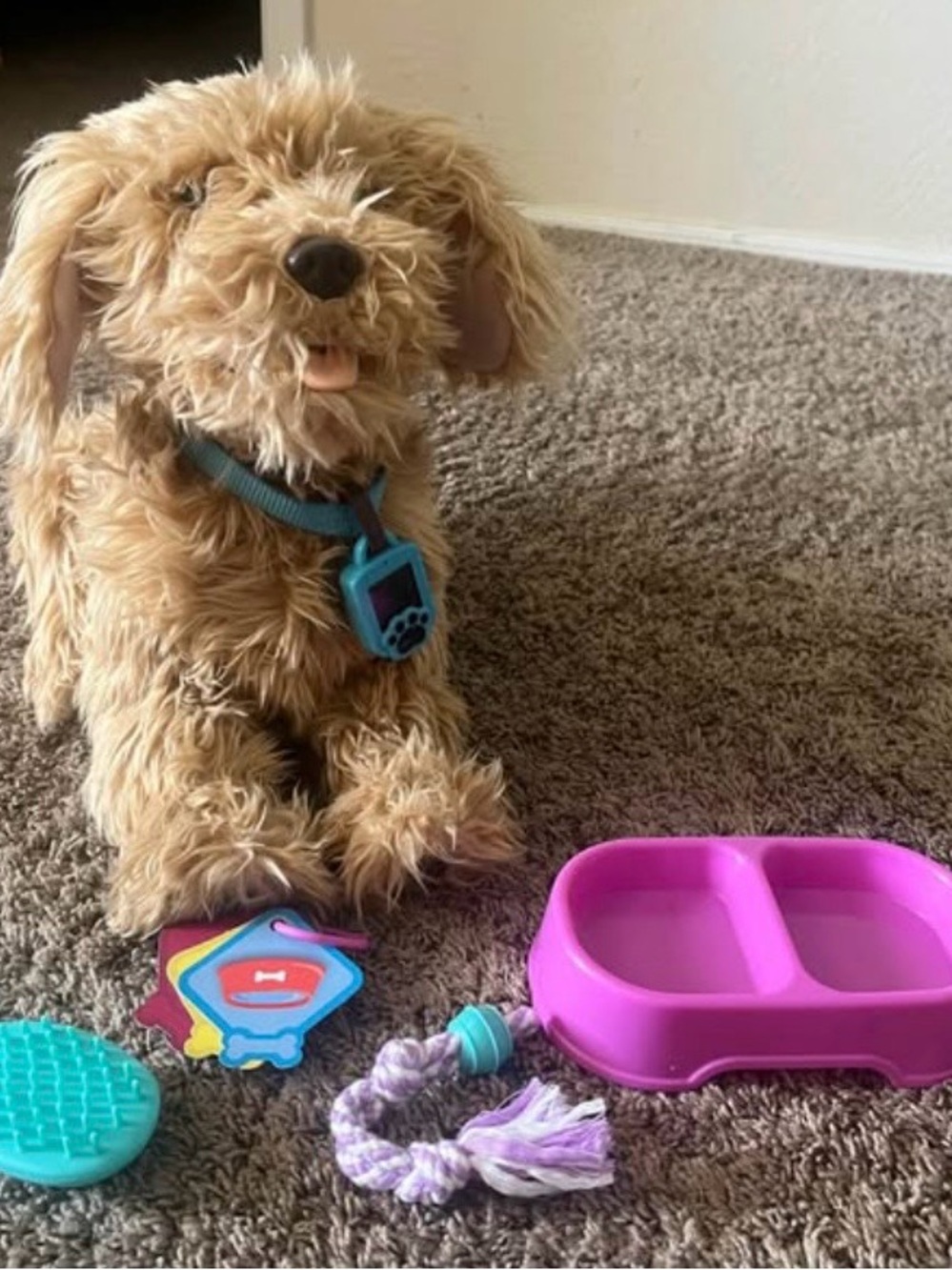 Mojo Robot Pet with accessories